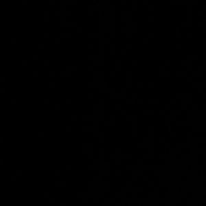 Meet your Posher, Iboni